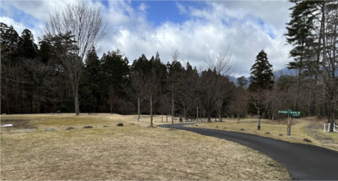 m_slide5